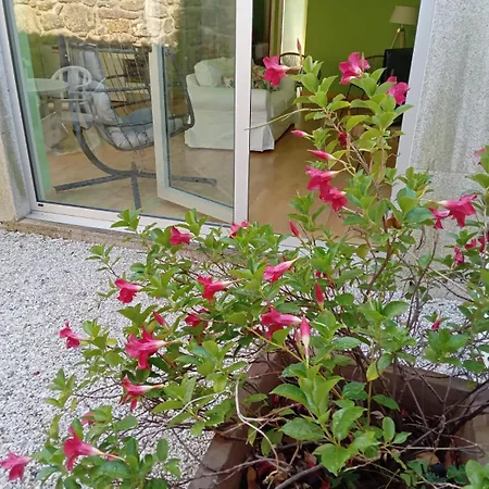 A Caracola Maxica Vilagarcia de Arousa