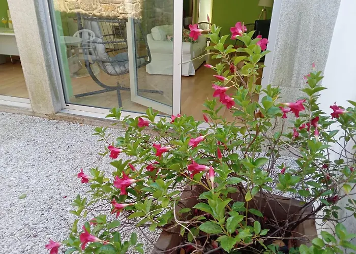 A Caracola Maxica Vilagarcia de Arousa